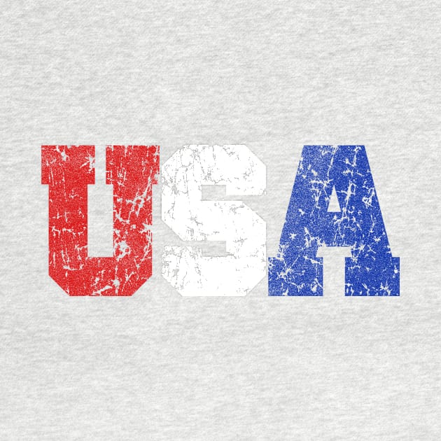 USA Rustic Faded Logo by rianfee